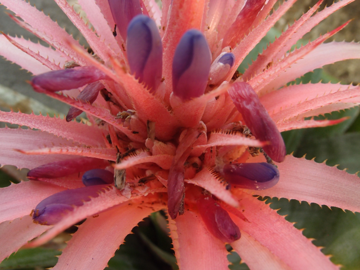 2016-02-18 Paulas Garten (Fotos)